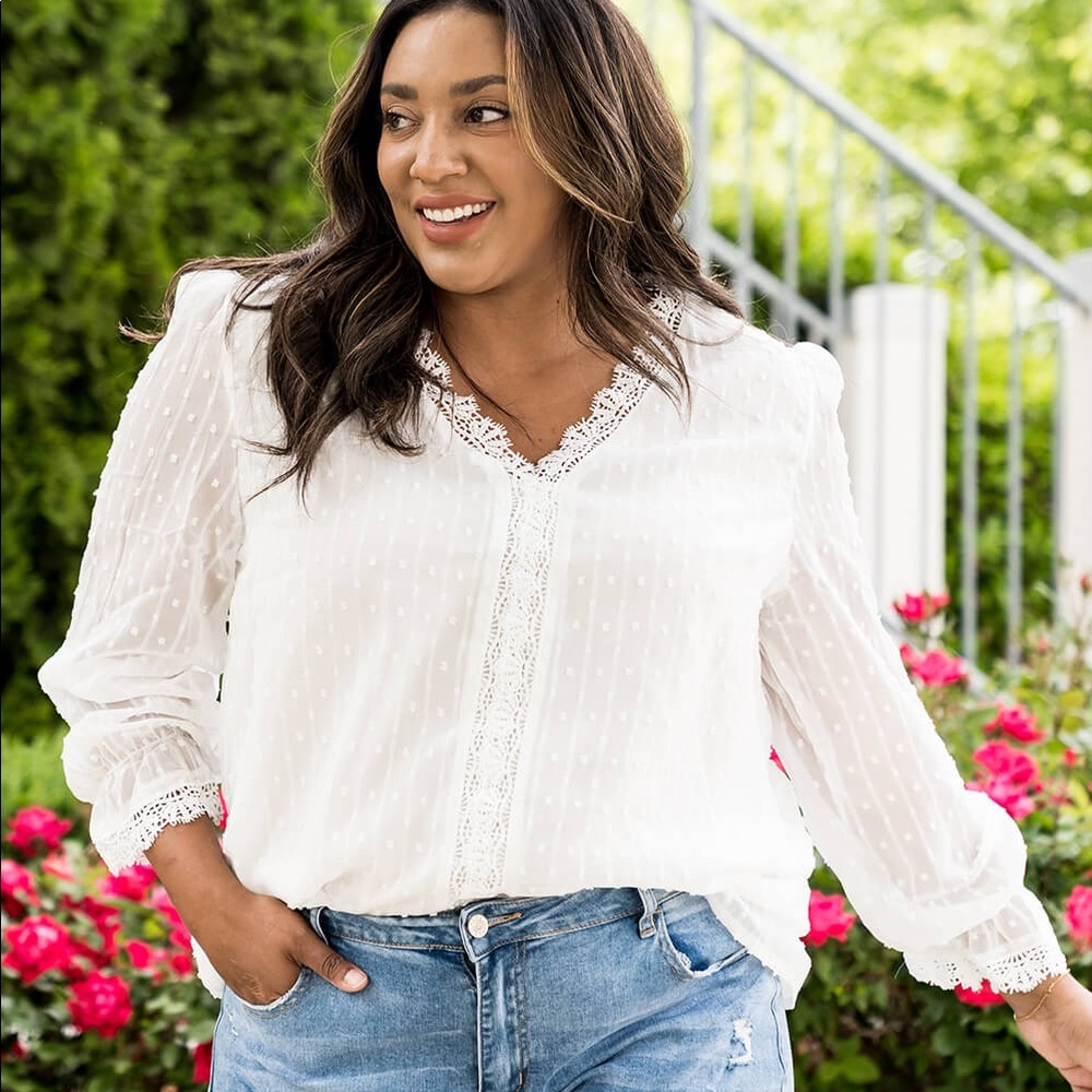 Plus Size Swiss Dot Lace Trim Blouse